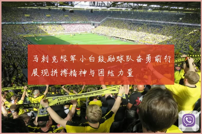 马刺克绿军小白鼓励球队奋勇前行展现拼搏精神与团结力量
