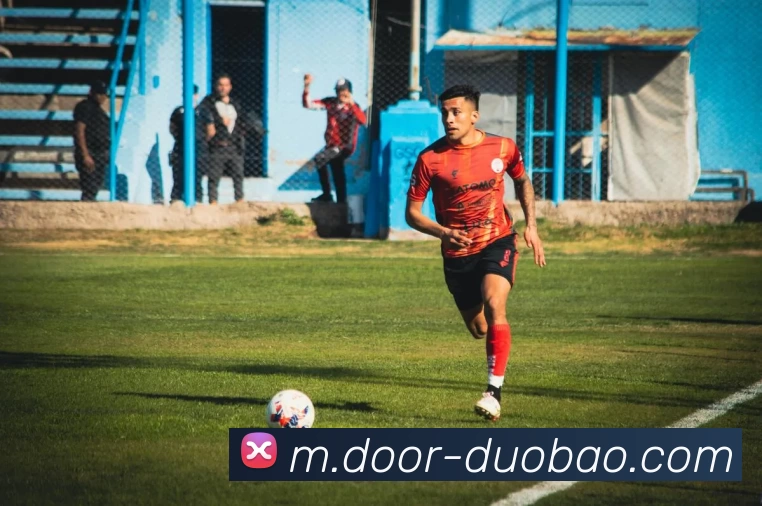 多宝体育平台生态图