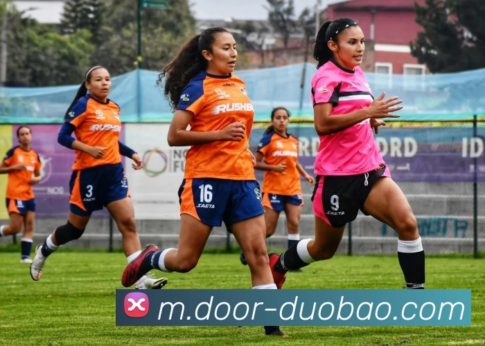 多宝体育APP 封面图